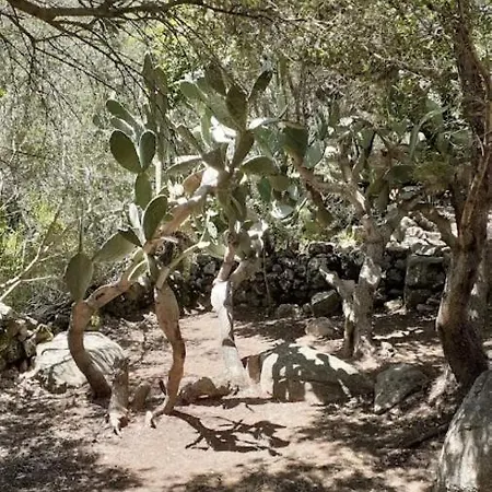 Casa de Férias U Castellu Di Montilati Figari Corse