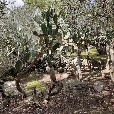 Casa de Férias U Castellu Di Montilati Figari Corse