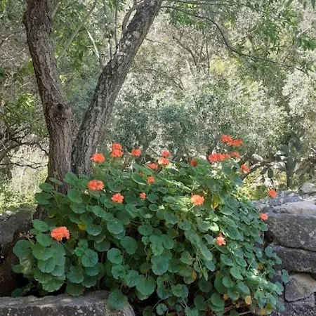 U Castellu Di Montilati Figari Corse *