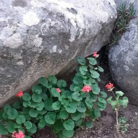 U Castellu Di Montilati Figari Corse Figari (Corsica)