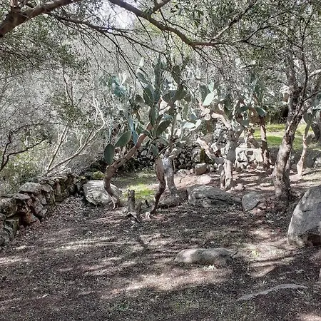 U Castellu Di Montilati Figari Corse Holiday home