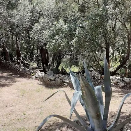 U Castellu Di Montilati Figari Corse Holiday home *