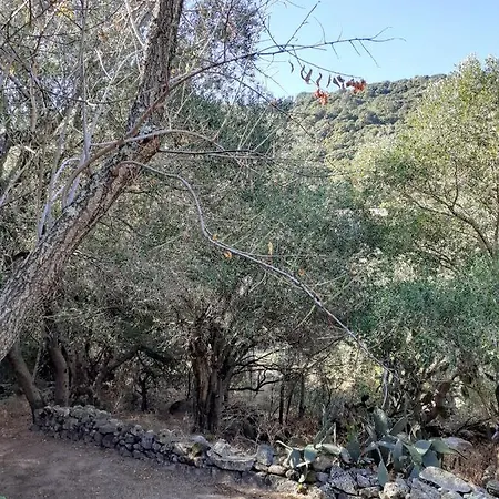U Castellu Di Montilati Figari Corse